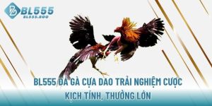 bl555-da-ga-cua-dao-trai-nghiem-cuoc-kich-tinh-thuong-lon