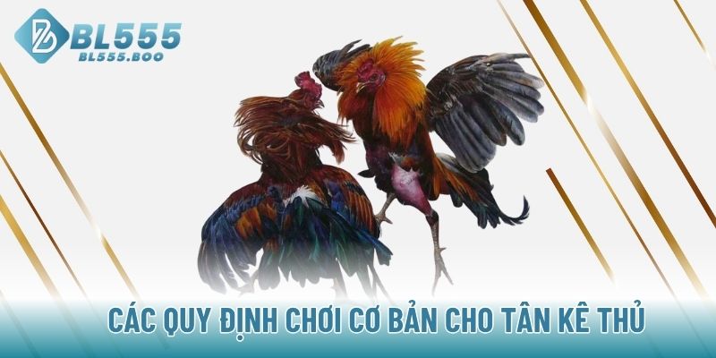 Các quy định chơi cơ bản cho tân kê thủ