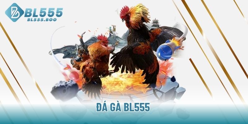 Đá gà BL555