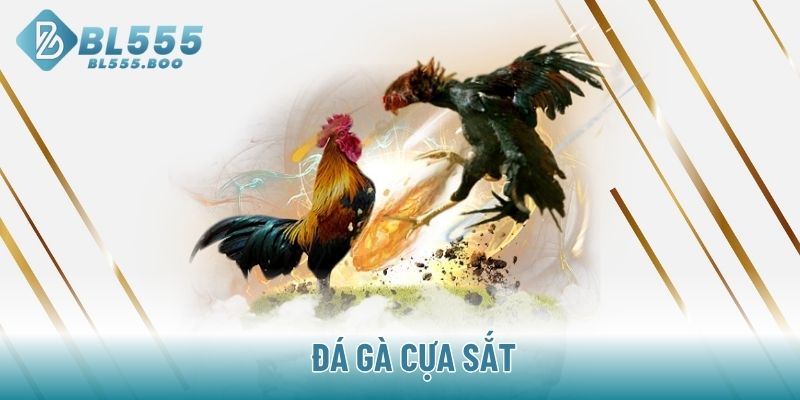 Đá gà cựa sắt