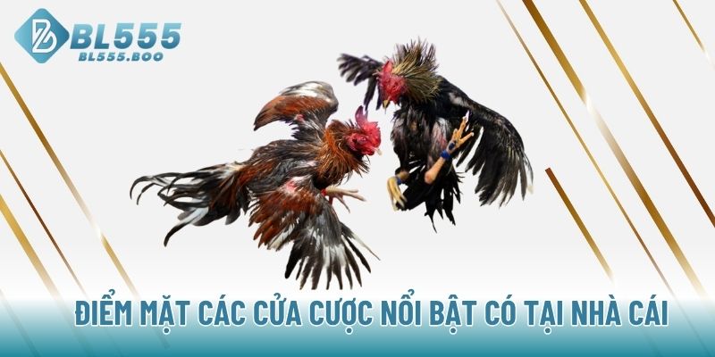 Điểm mặt các cửa cược nổi bật có tại nhà cái 
