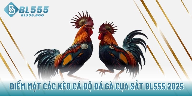 Điểm mặt các kèo cá độ đá gà cựa sắt BL555 2025