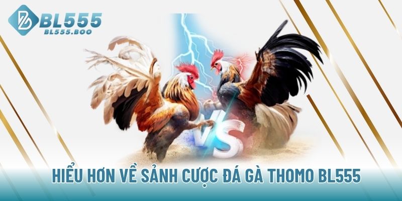 Hiểu hơn về sảnh cược đá gà Thomo BL555