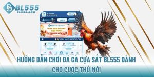 huong-dan-choi-da-ga-cua-sat-bl555-danh-cho-cuoc-thu-moi