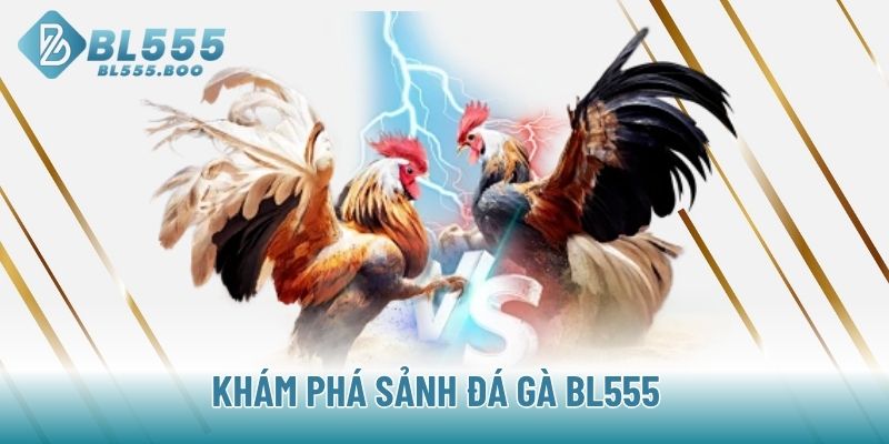 Khám phá sảnh đá gà BL555