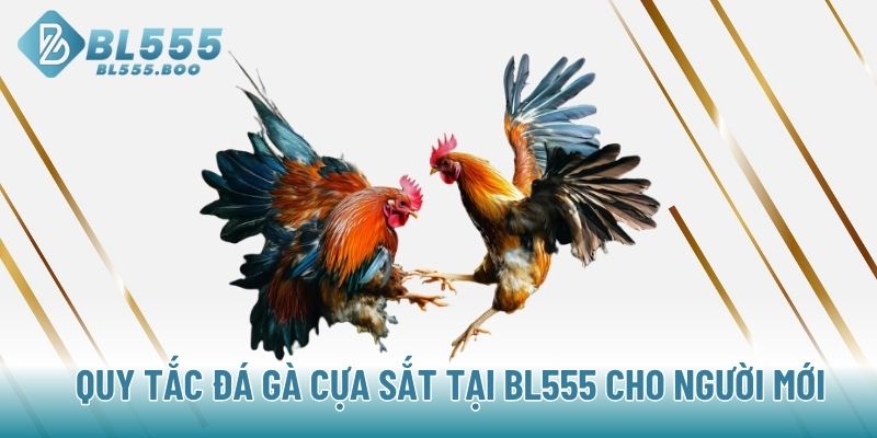 Quy tắc đá gà cựa sắt tại Bl555 cho người mới