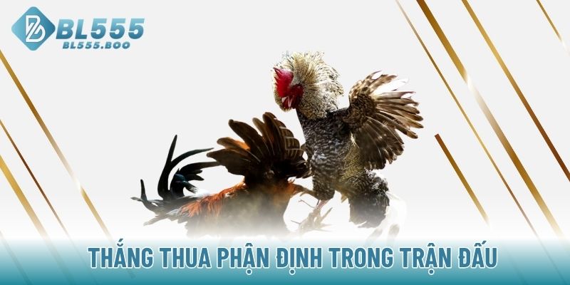 Thắng thua phận định trong trận đấu