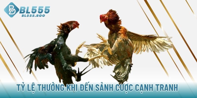 Tỷ lệ thưởng khi đến sảnh cược cạnh tranh